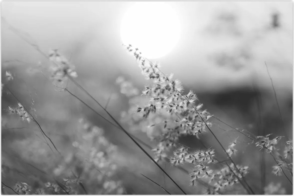 Tablou - Pajiște de toamnă (90x60 cm)