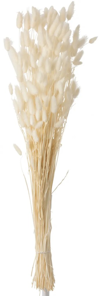 Buchet, Rachita Bambus, Alb, 14x5x86 cm