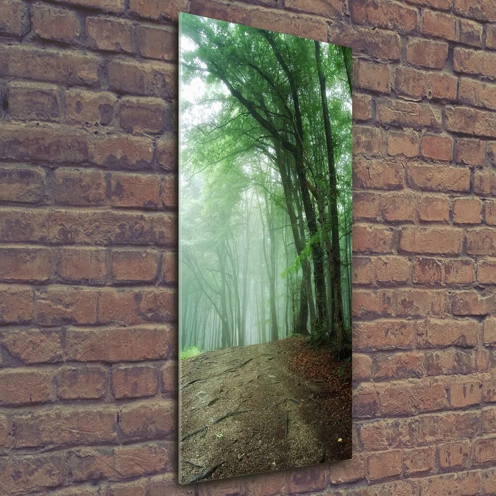 Imagine de sticlă Ceață în pădure