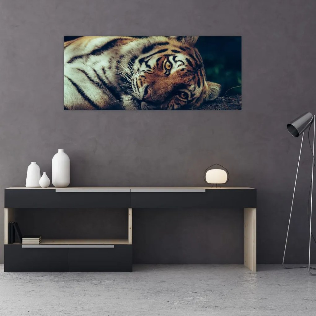 Tablou - Tigrul Siberian (120x50 cm)