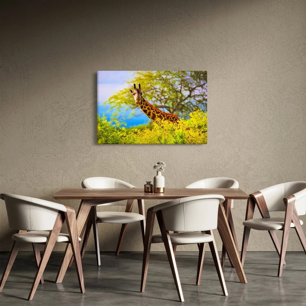 Tablou - Girafa în Africa (90x60 cm)