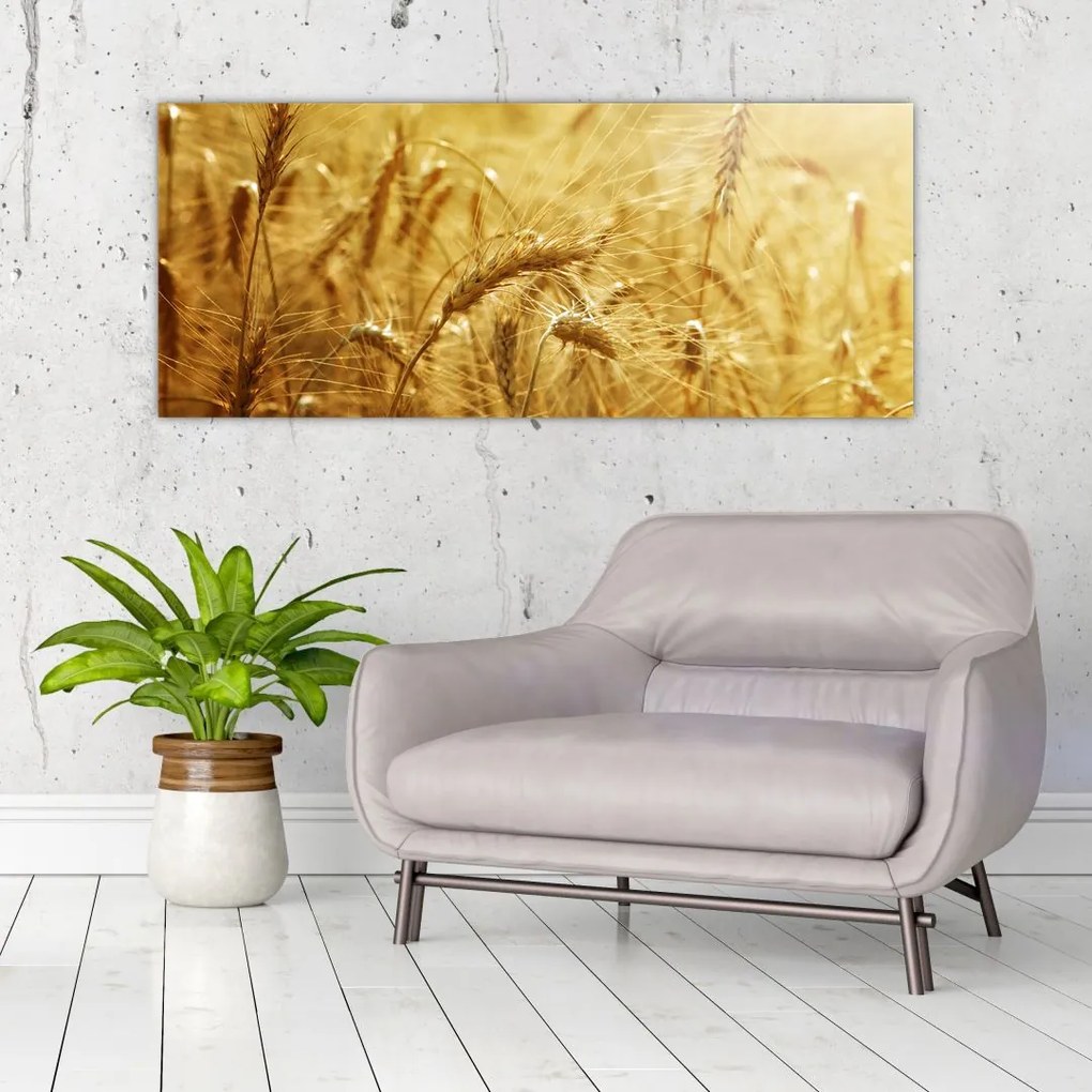 Tablou - Spice de cereale (120x50 cm)