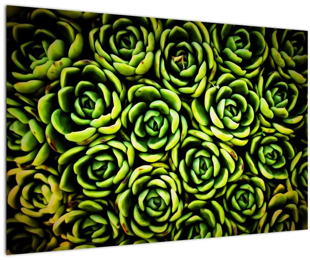 Tablou cu flori de piatră (90x60 cm)