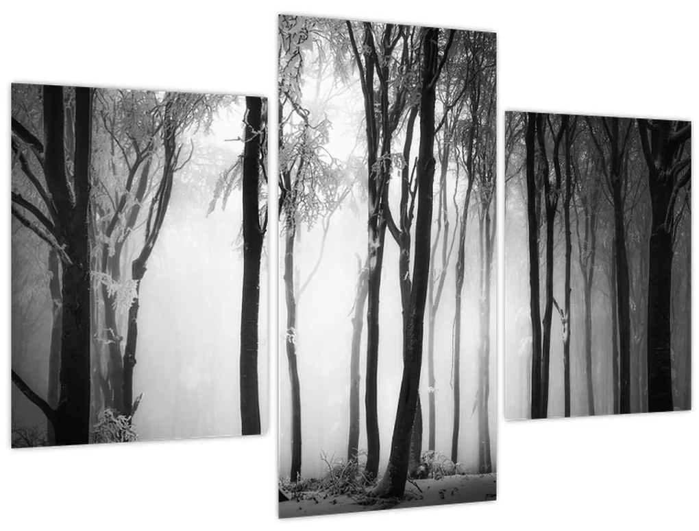 Tablou - Lup în pădurea întunecată (90x60 cm)