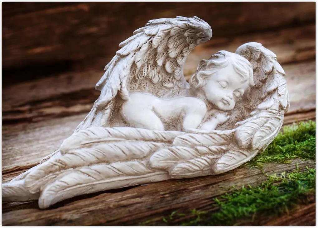 Tablou - Îngeraș dormind (70x50 cm)