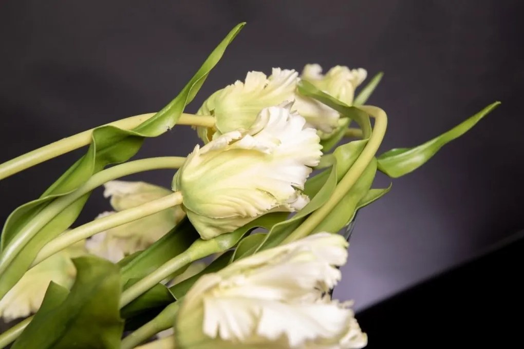 Aranjament floral mediu design LUX TULIP CAMILLA BOWL