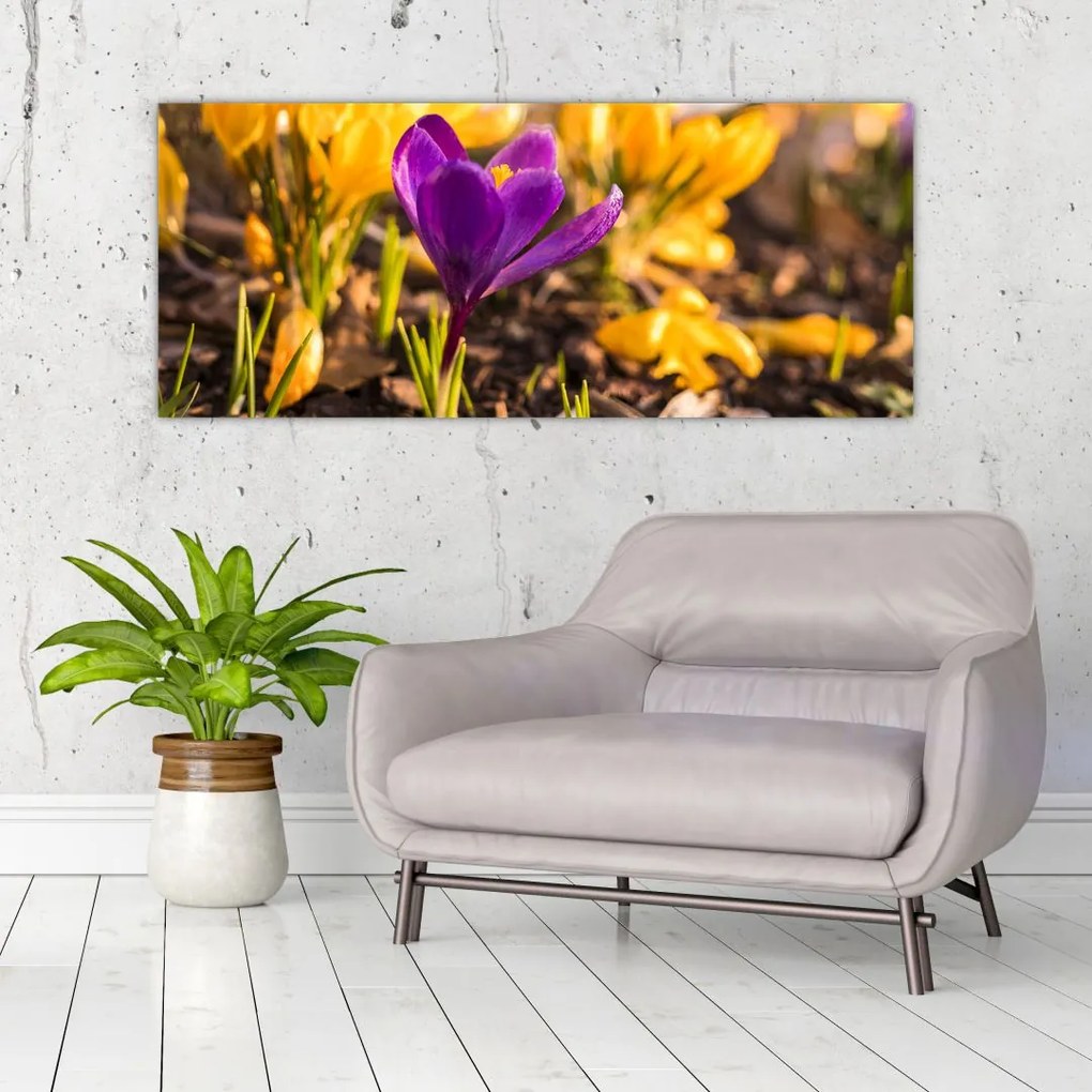 Tablou cu floare violetă (120x50 cm)