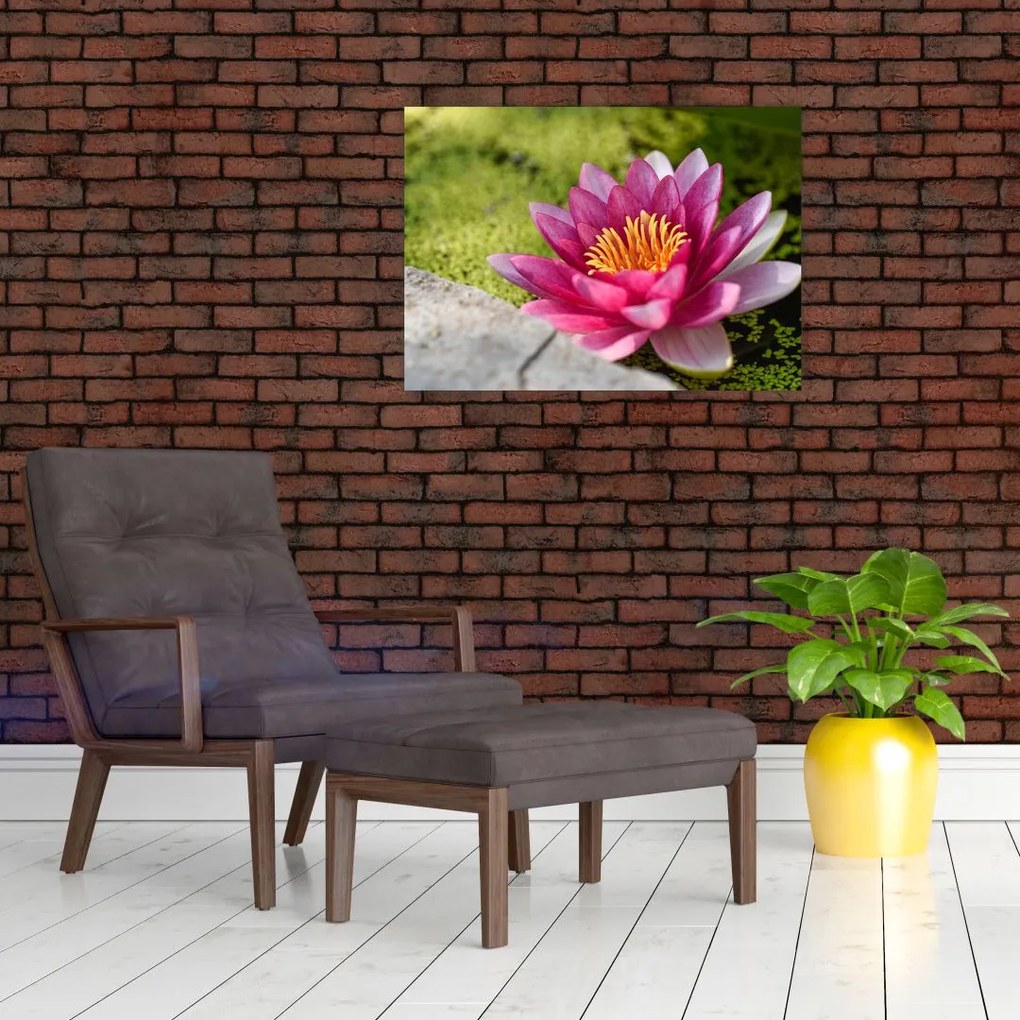 Tablou - Lotus (70x50 cm)