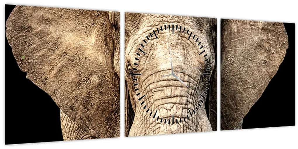 Tablou - Elefant african (cu ceas) (90x30 cm)