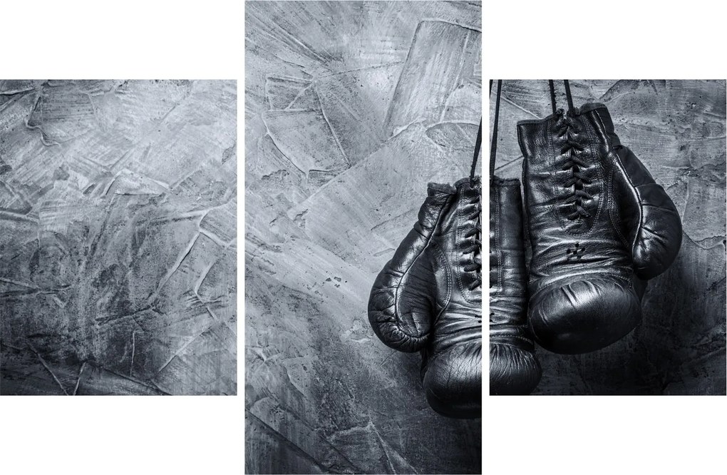 Tablou - Mănuși de box (90x60 cm)