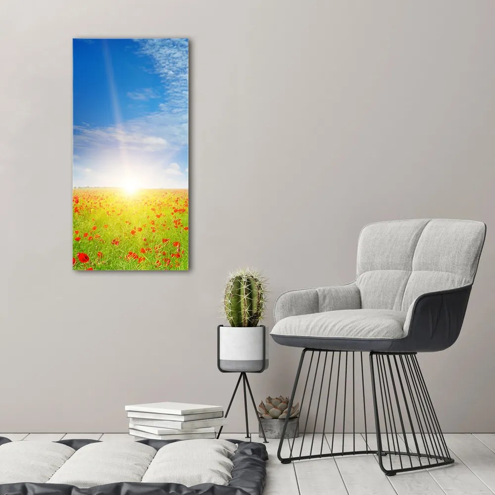 Tablou pe pânză canvas Câmp de maci