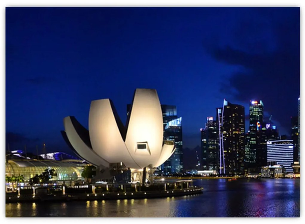 Tablou pe sticlă Singapore nocturn (70x50 cm)