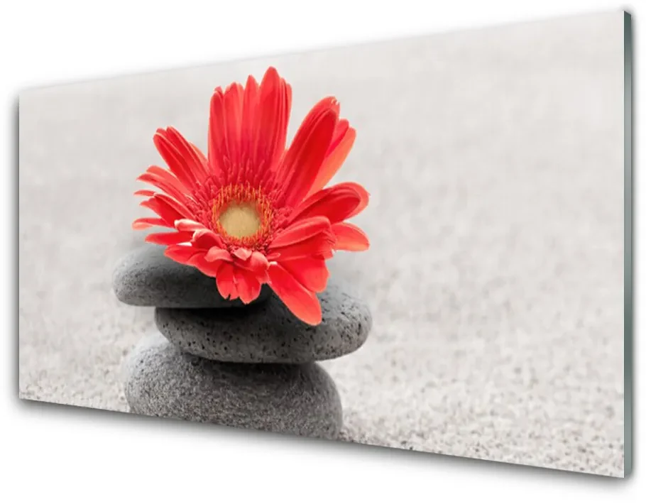 Tablou pe sticla Pietrele de flori Arta Orange Gray