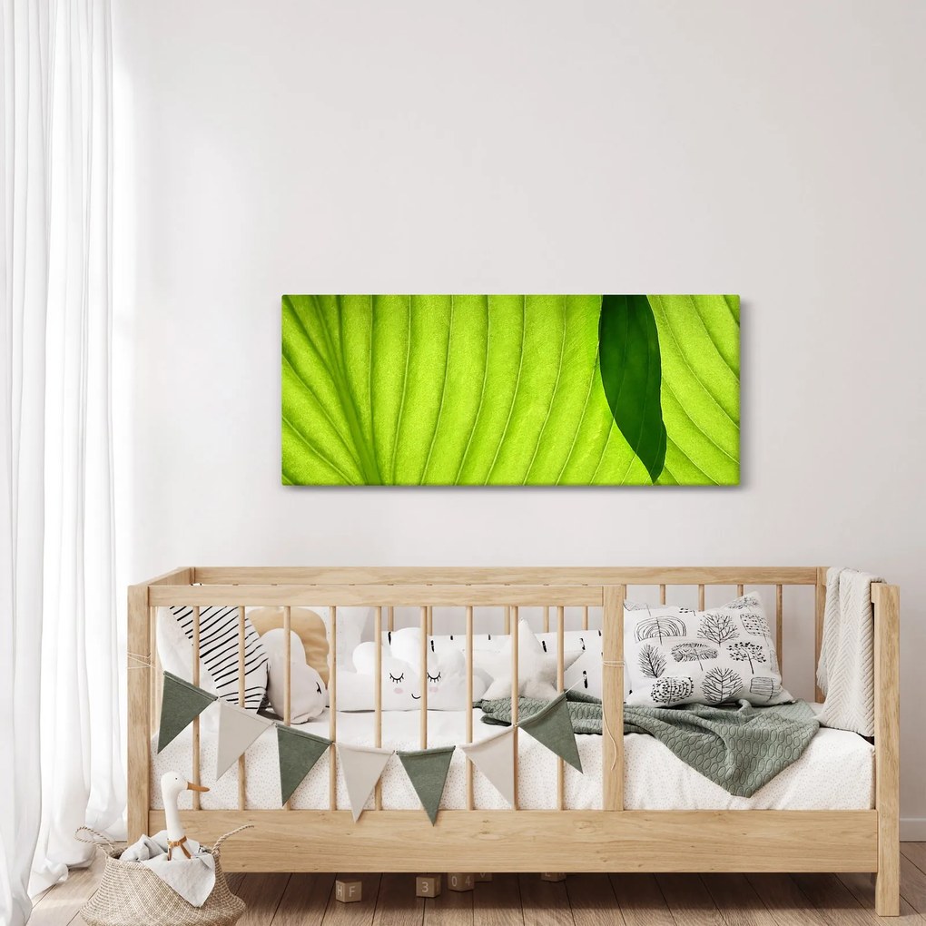 Tablou - Detaliu de frunză verde (120x50 cm)