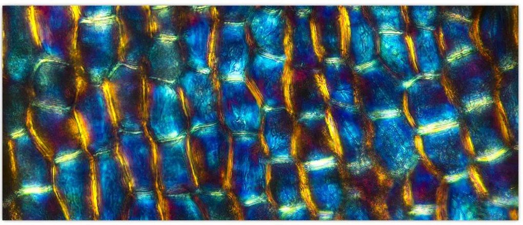 Tablou - Peretele celular (120x50 cm)