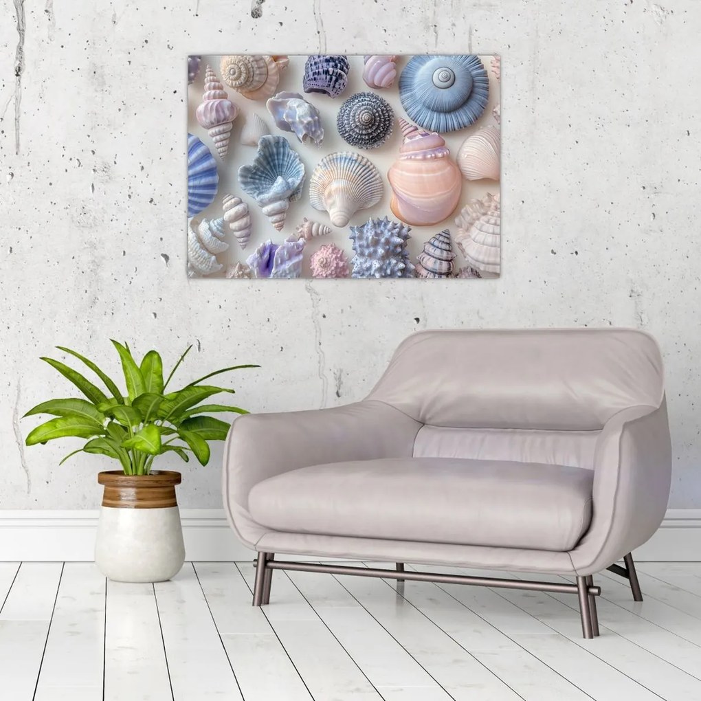 Tablou pe sticlă - Colecție de scoici (70x50 cm)