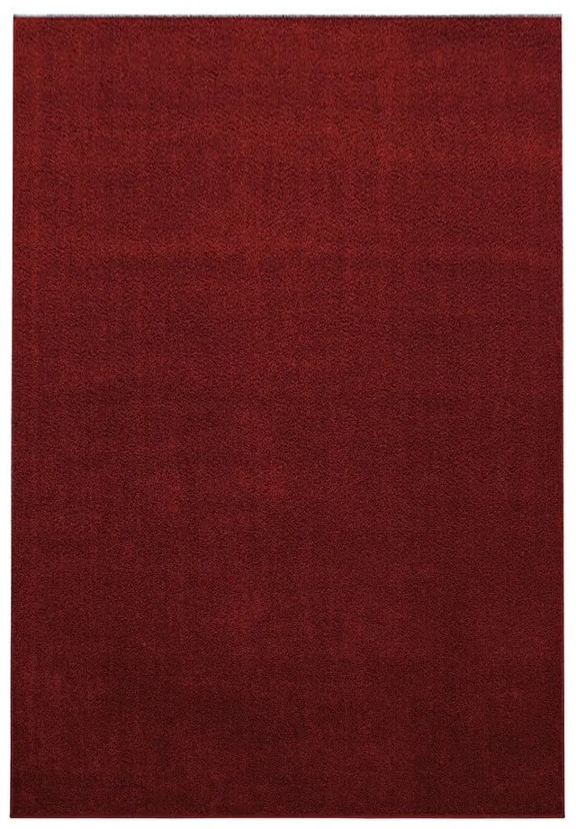 Covor burgundy 80x150 cm Ata – Ayyildiz Carpets