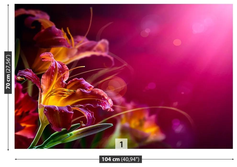 Fototapet Purple Lily