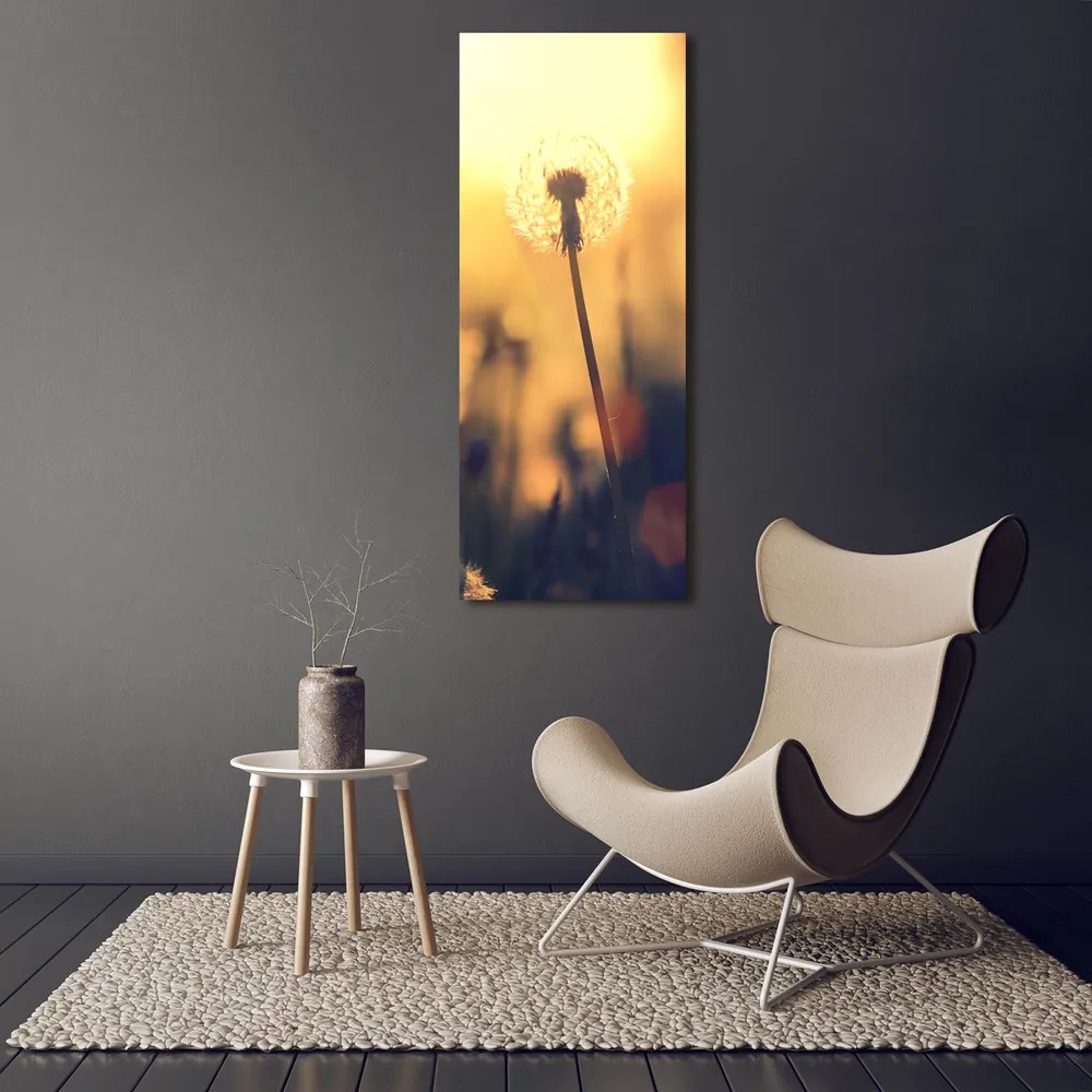 Tablou pe pânză canvas Păpădie