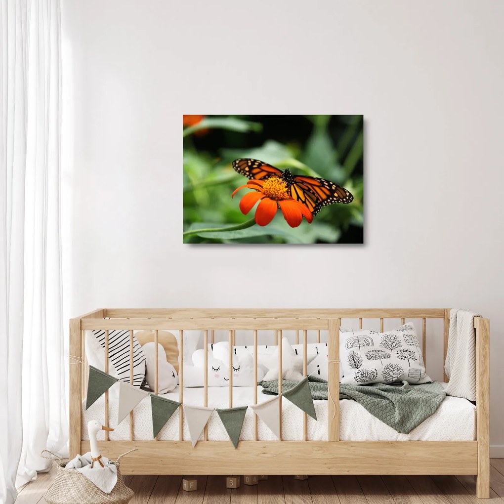 Tablou pe sticlă cu fluture pe floare (70x50 cm)