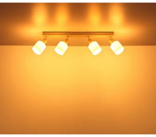 Globo 54114-4 - Corp de iluminat tip spot TRENT 4xE14/25W/230V