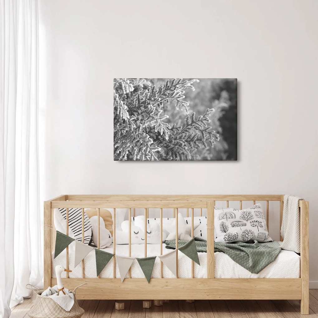 Tablou - Pădure de molid (90x60 cm)