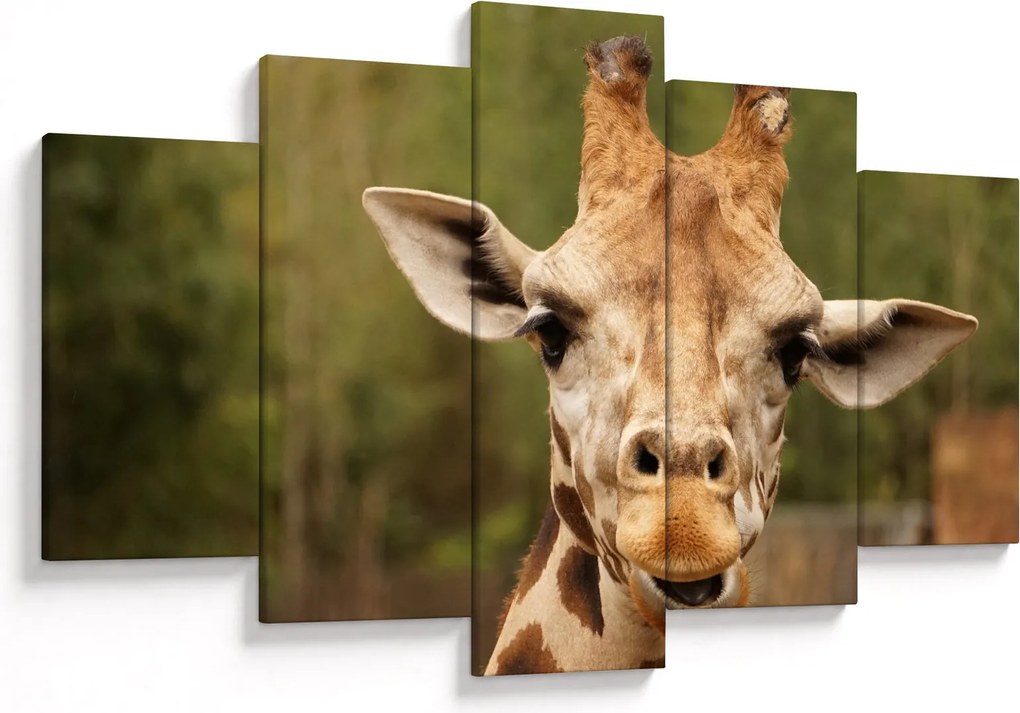 Tablou girafe (150x105 cm)