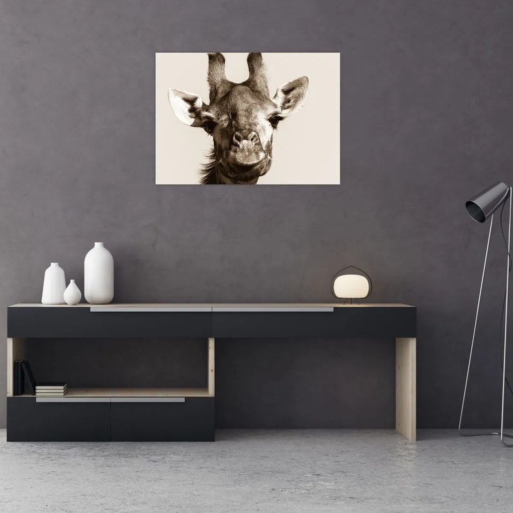 Tablou pe sticlă - Portret de girafă, de epocă (70x50 cm)