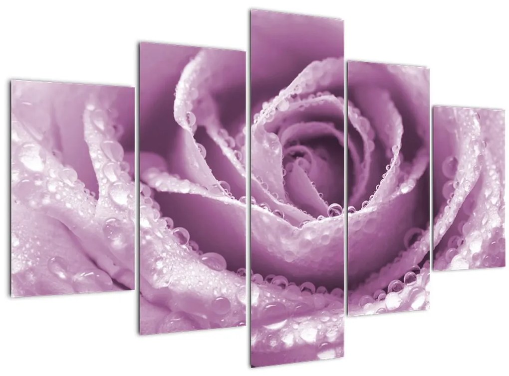 Tablou detaliu de floare de trandafir (150x105 cm)