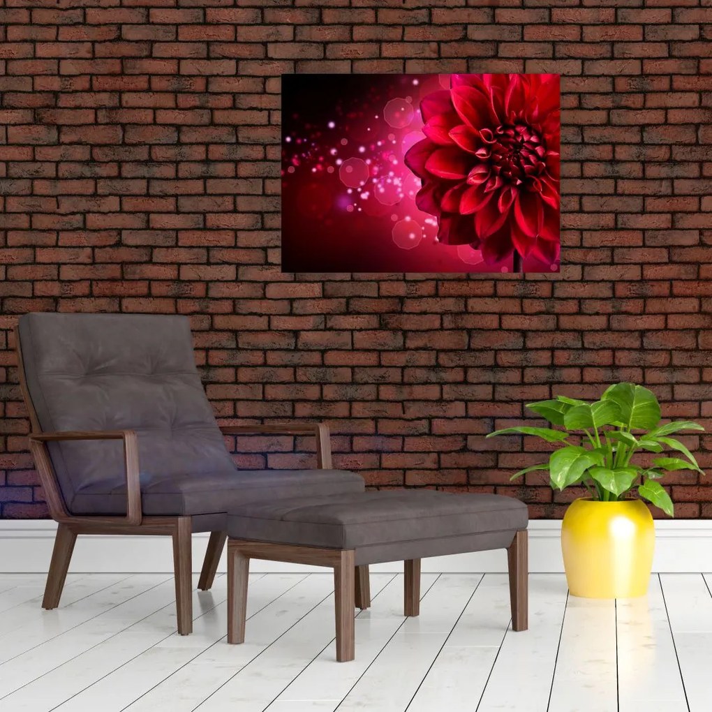 Tablou cu floare roșie (70x50 cm)