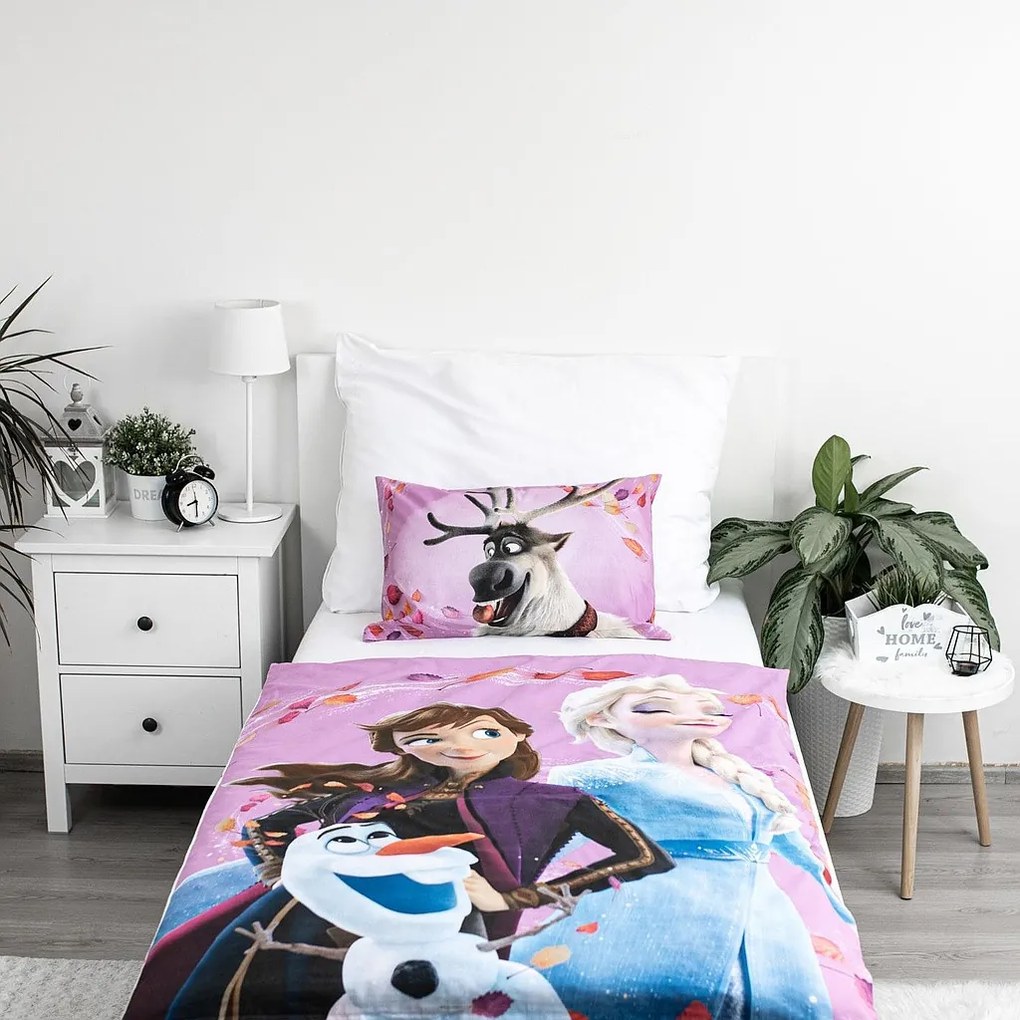 Disney Regatul de gheață Wind așternut de pat pentru copii 100×135 cm, 40×60 cm