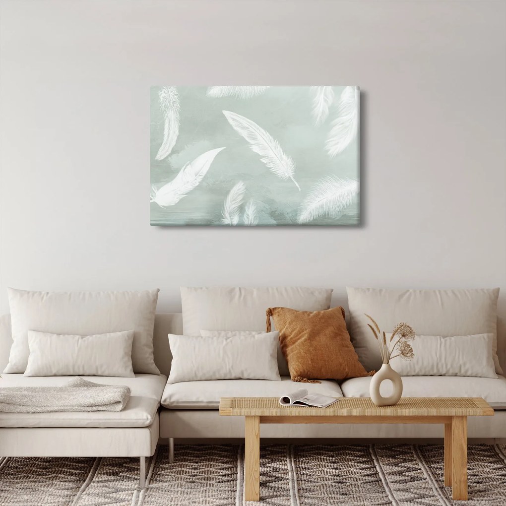 Tablou - Pene albe (90x60 cm)