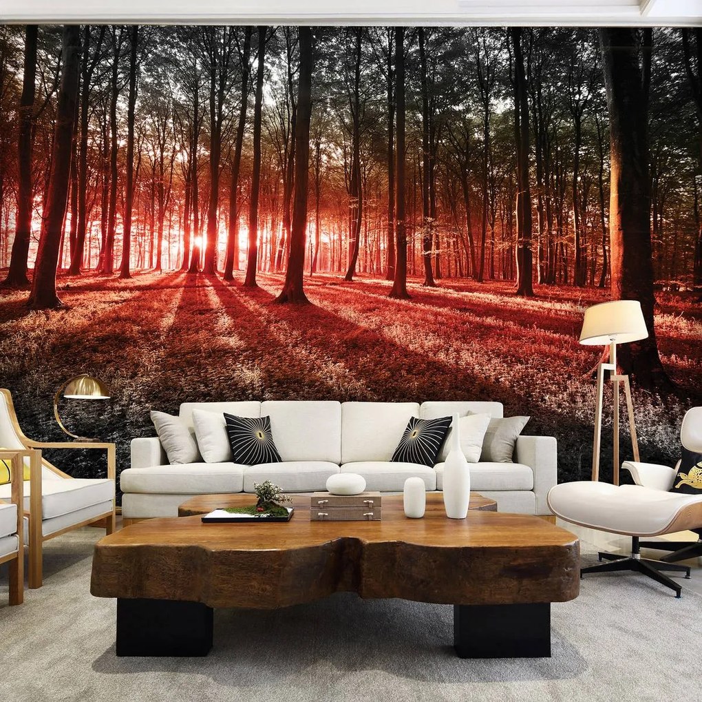 Fototapet - Pădure (152,5x104 cm)