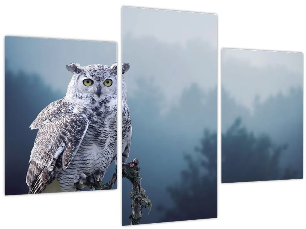 Tablou - Bufniță de zăpadă (90x60 cm)