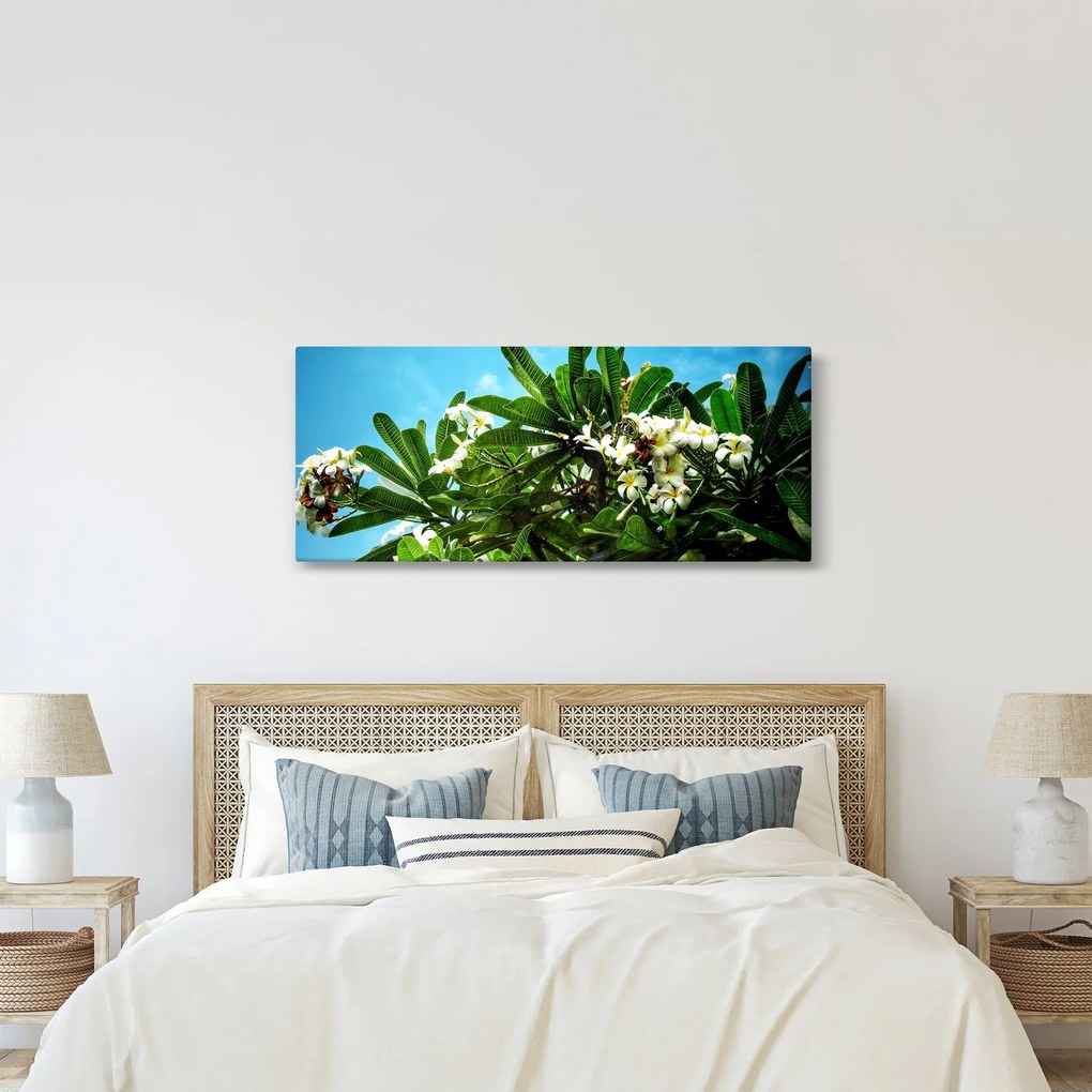 Tablou - Plumeria (120x50 cm)