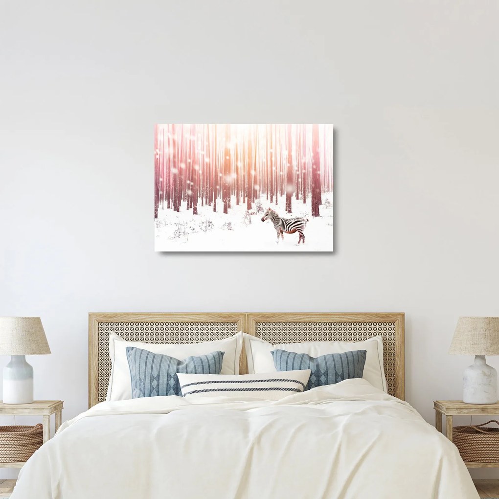 Tablou pe sticlă - Zebra în pădurea înzăpezită (70x50 cm)