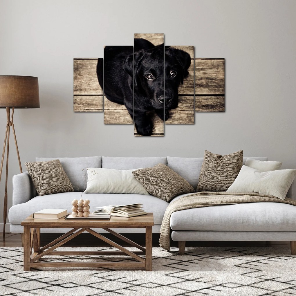 Tablou cu cățeluș negru (150x105 cm)