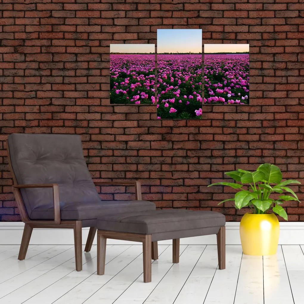 Tablou - Pajiștea cu lalele violet (90x60 cm)