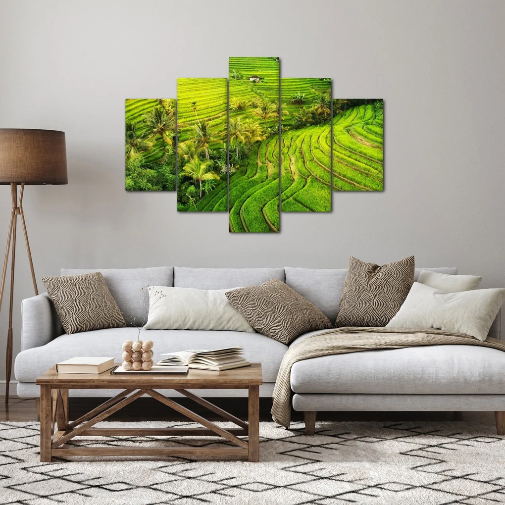 Tablou - Terase de orez (150x105 cm)