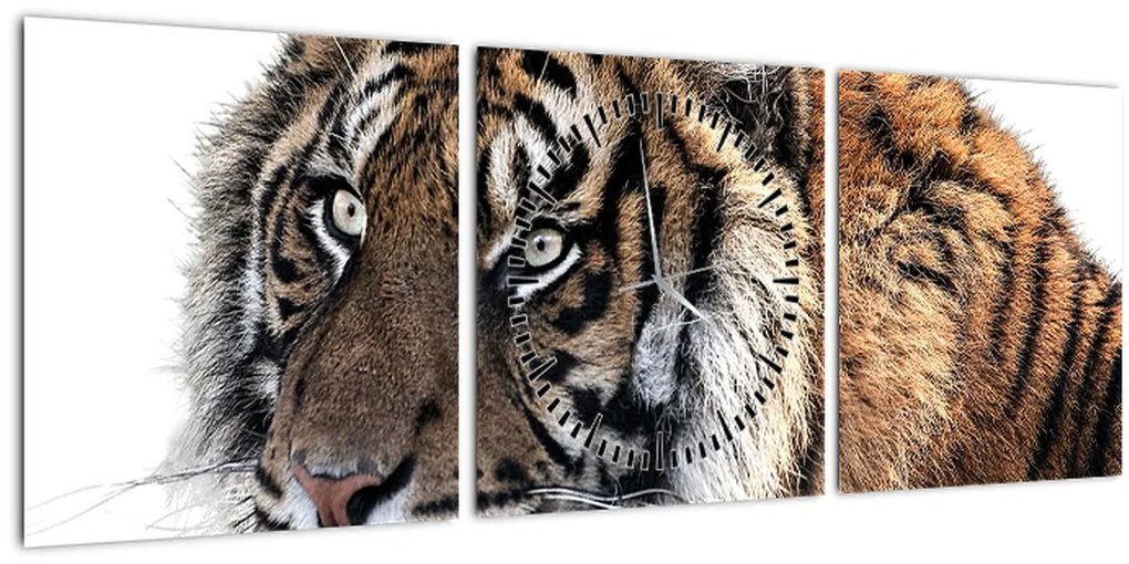 Tablou cu tigrul (cu ceas) (90x30 cm)