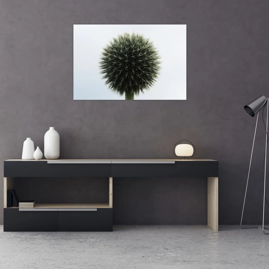 Tablou - Sfere de flori (90x60 cm)