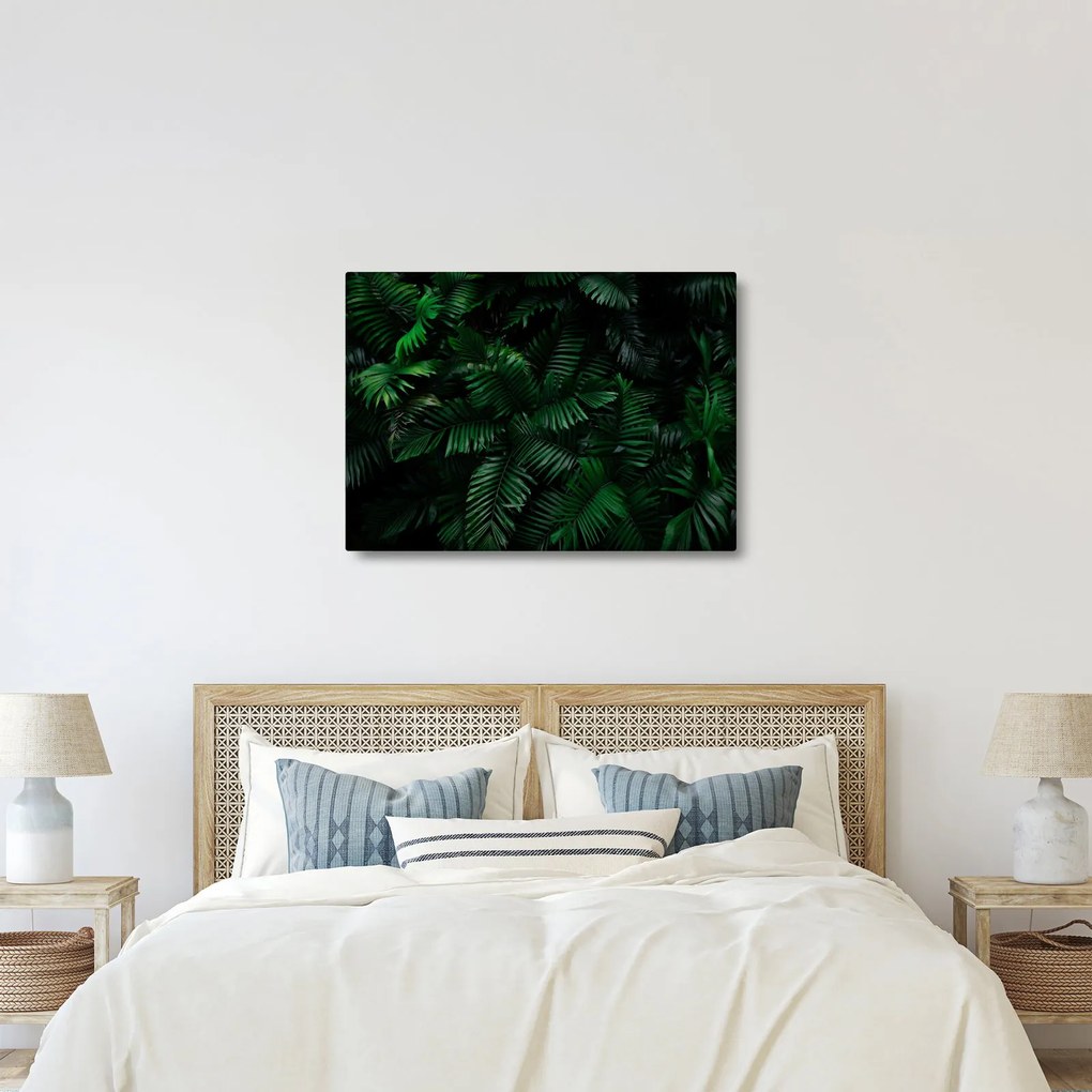 Tablou - Păpădii tropicale (70x50 cm)