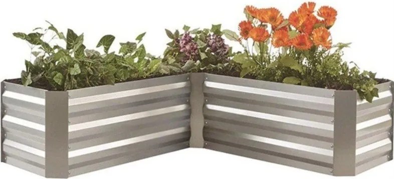 Pat ridicat de plante Magnolia – Garden Pleasure