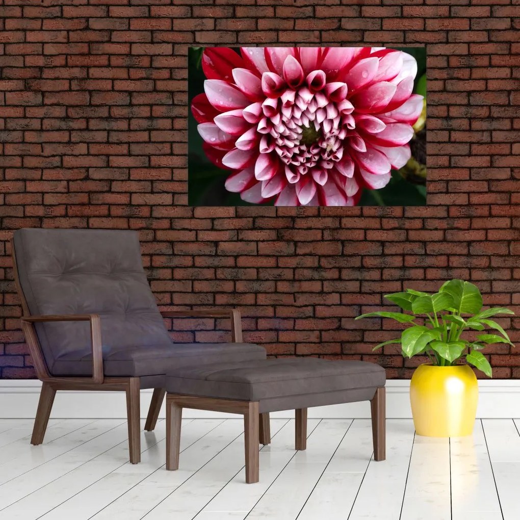 Tablou cu dalie roz (90x60 cm)