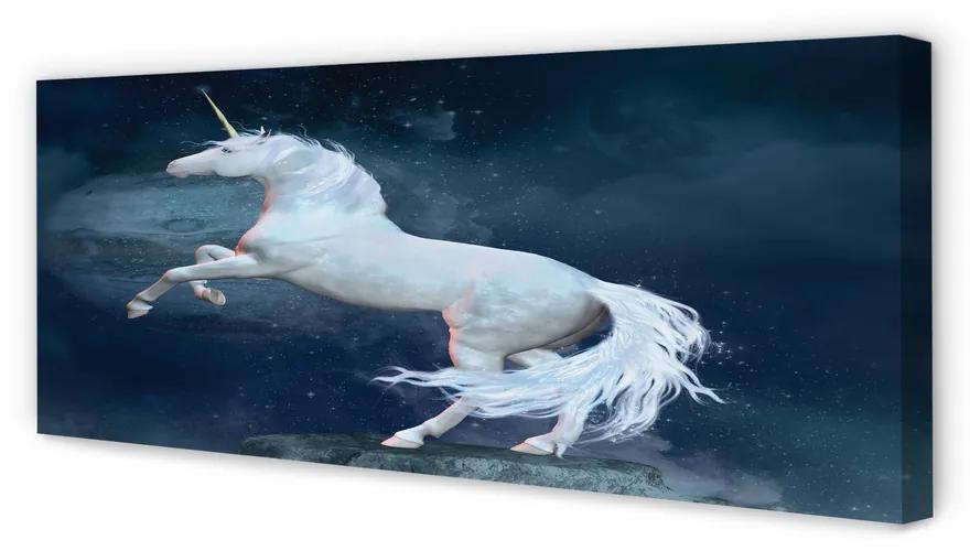 Tablouri canvas cerul planetei Unicorn