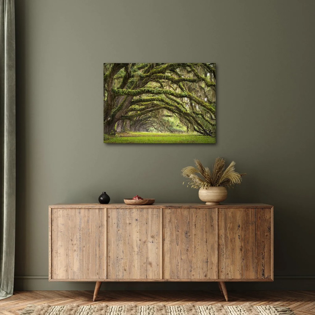 Tablou - Oaks Avenue, Charleston, Carolina de Sud, SUA (70x50 cm)