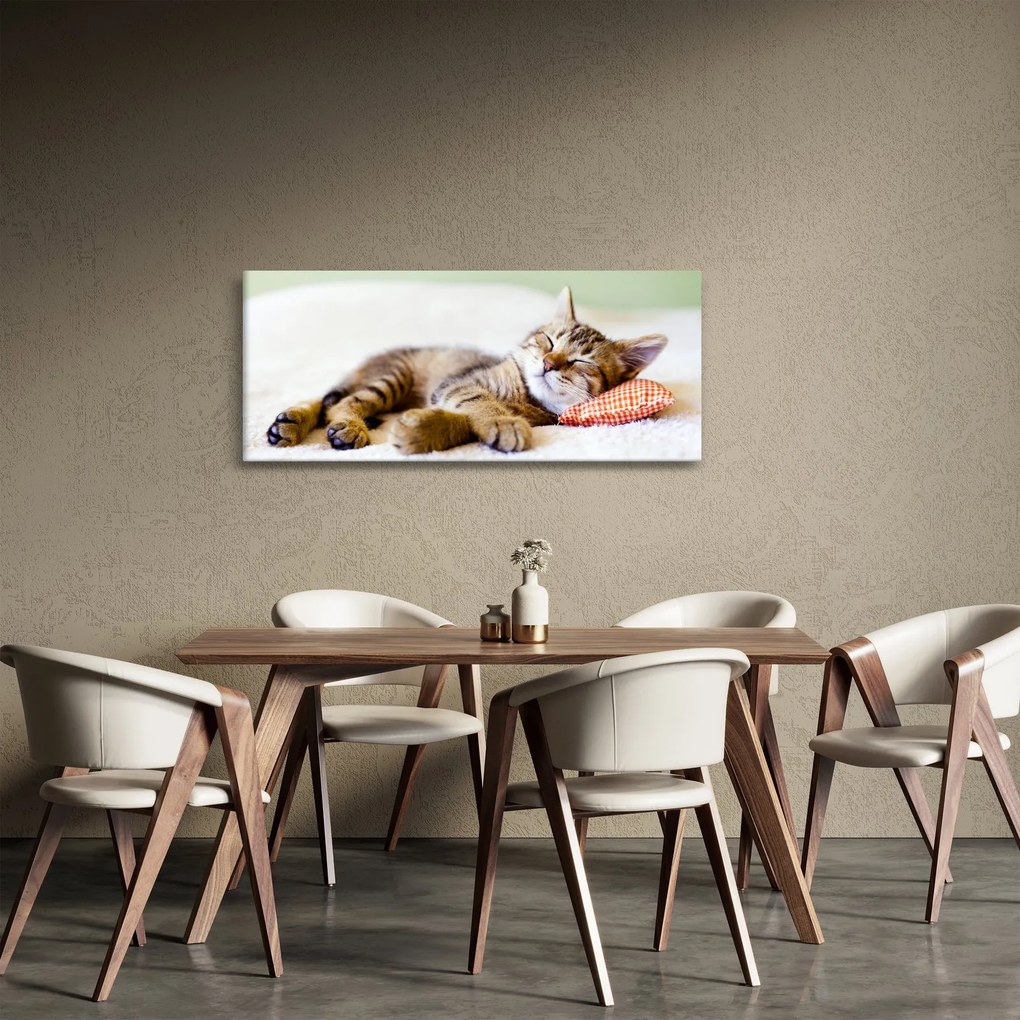 Tablou - Pisicuța adormită (120x50 cm)