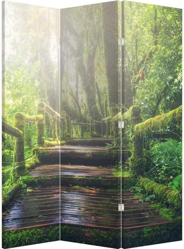 Paravan - Trepte din lemn în pădure (126x170 cm)