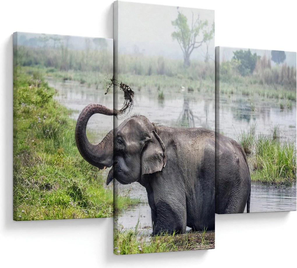 Tablou - Elefant de scăldat (90x60 cm)