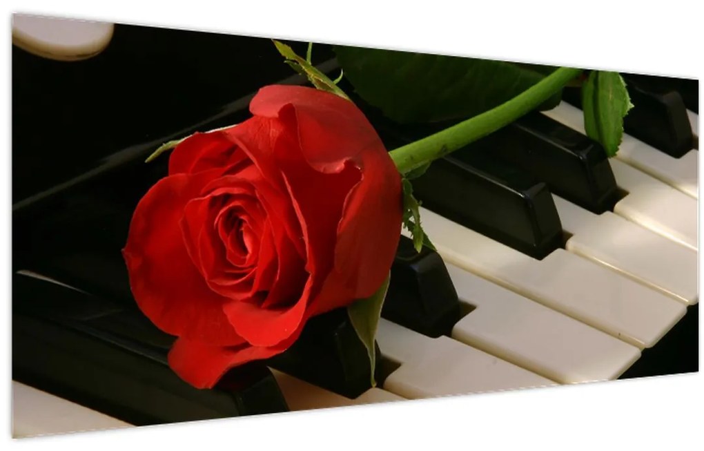 Tablou - Pian și trandafiri (120x50 cm)